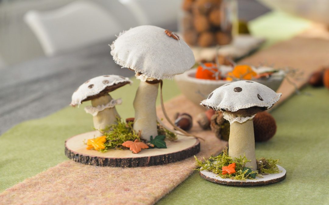 Funghi in calcestruzzo e tessuto #3192
