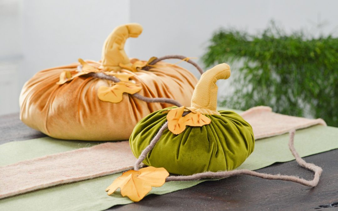 Zucca in velluto #3193