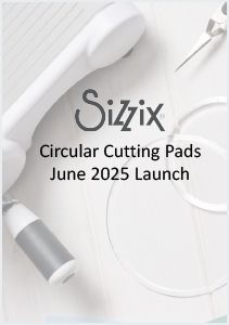 100010-SX2559 Circular Cutting Pads