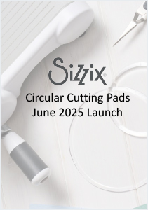 100010-SX2559 Circular Cutting Pads